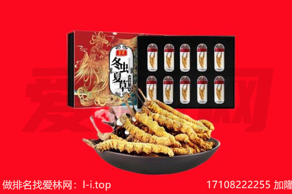 揭阳市回收虫草.jpg